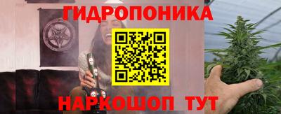 прущие грибы Коммунар